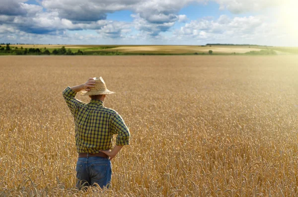 Фермер на полі