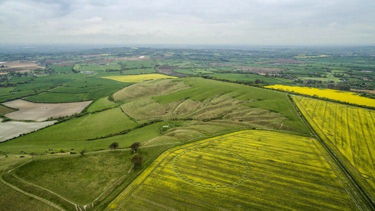 Поле україни