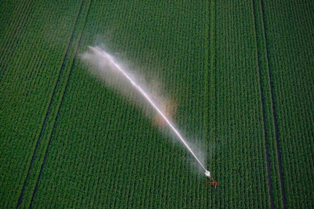 Рошення полей