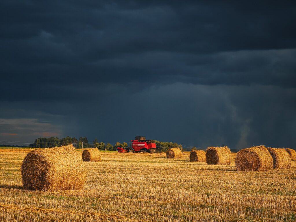 Комбайн едет по полю