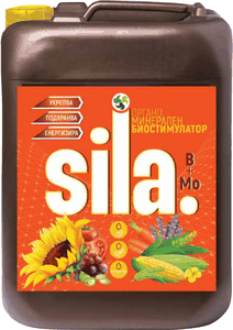 SILA B+Mo