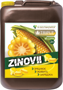 Zinovii corn